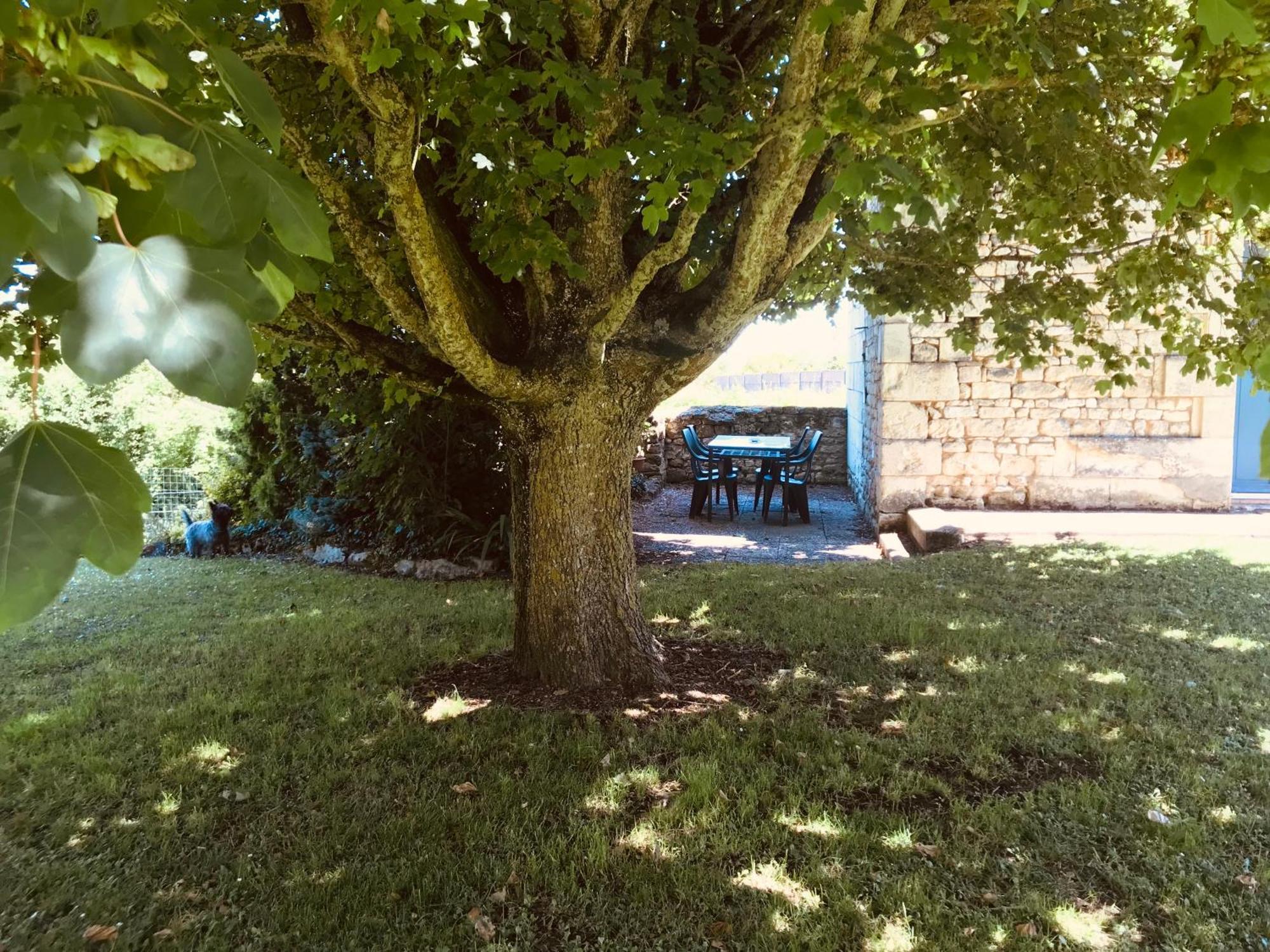 Gite Au Boom Coeur En Options Spa Et Repas Tourtenay Exterior foto
